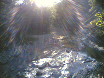 fot1